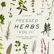 Pressed and Dry Herbs VOL3. Un projet de Design , Réseaux sociaux , et Design pour les réseaux sociaux de Sparrow & Snow - 09.09.2019