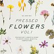 Pressed Dry Flowers & Herbs Vol.1. Design, Social Media, Social Media Design, Photograph, and UX / UI project by Sparrow & Snow - 08.04.2019