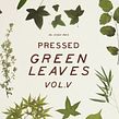 Pressed Green Leaves VOL.5. Un proyecto de Diseño, Ilustración tradicional, Fotografía, Redes Sociales y Diseño para Redes Sociales de Sparrow & Snow - 12.09.2019