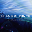 PHANTOM PUNCH Ein Projekt aus dem Bereich Br, ing und Identität, Kunstleitung und Grafikdesign von Jefferson PAGANEL - 29.10.2021