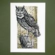 Deep in the forest- Pen and ink Drawing Ein Projekt aus dem Bereich Traditionelle Illustration und Naturalistische Illustration von Philip Harris - 02.10.2021