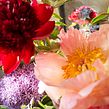 EVENT - PALACE DE MENTHON . Floral, Plant Design, and Events project by Justine Beaussart - 11.17.2021