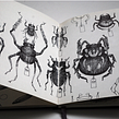 CHILE. Een project van Traditionele illustratie,  Tekening, Sketchbook y  Illustratie met inkt van Thomas Cian - 19.11.2021