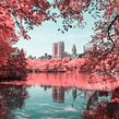 Infrared NYC. Un projet de Photographie, Direction artistique, Pa, sagisme, Postproduction photographique, Stor, telling , et Photographie numérique de Paolo Pettigiani - 26.11.2021