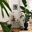 Igor's urban jungle apartment in Berlin. Un proyecto de Diseño de interiores, Interiorismo, Decoración de interiores, Escenografía, Diseño floral y vegetal de Igor & Judith - Urban Jungle Bloggers - 10.05.2021