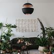 House Plant Travel - Brazil. Decoration, Interior Decoration, Interior Design, Floral, Plant Design, Instagram, Instagram Photograph & Instagram Marketing project by Igor & Judith - Urban Jungle Bloggers - 04.10.2021