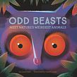 Odd Beasts. Traditional illustration, Digital Painting, Digital Drawing, Naturalistic Illustration, and Children's Illustration project by Gareth Lucas - 11.17.2021