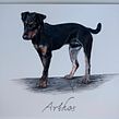 Commissions. Un proyecto de Ilustración tradicional, Bellas Artes, Creatividad, Dibujo a lápiz, Dibujo, Pintura a la acuarela, Dibujo de Retrato, Dibujo realista, Dibujo artístico, Ilustración botánica e Ilustración naturalista				 de Lisi - 10.12.2021