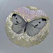 Shiny butterflies. Un proyecto de Ilustración tradicional, Bellas Artes, Creatividad, Dibujo, Pintura a la acuarela, Dibujo realista, Ilustración botánica, Ilustración naturalista				, Diseño floral y vegetal de Lisi - 11.12.2021