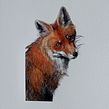 Animals . Un proyecto de Ilustración tradicional, Bellas Artes, Creatividad, Dibujo a lápiz, Dibujo, Pintura a la acuarela, Dibujo de Retrato, Dibujo realista, Dibujo artístico, Ilustración botánica e Ilustración naturalista				 de Lisi - 11.12.2021