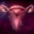 #Wombstories for Bodyform. Un proyecto de Publicidad y Redes Sociales de Rebecca Rowntree - 19.12.2021