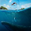 BUBBLE DREAM. Traditional illustration, Advertising, Photograph, Art Direction, Fine Arts, Photograph, Post-production, Creativit, Digital Photograph, Commercial Photograph, Color Correction, Photographic Composition, Photomontage, Color Theor, and Matte Painting project by Diogo Vieira - 12.29.2021