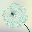 Metoomentum – a visual analysis of #metoo. Un proyecto de Diseño, Ilustración tradicional, UX / UI, Diseño gráfico, Diseño de la información, Diseño Web, Infografía, Creatividad y Redes Sociales de Valentina D'Efilippo - 04.01.2022