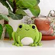 Prince Perry la rana / Prince Perry the frog Ein Projekt aus dem Bereich Crochet, Amigurumi, Design von Figuren, DIY und Kreativität von Ilaria Caliri - 20.01.2022