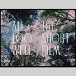 All Too Well. Graphic Design, T, pograph, Music, and Lettering project by Fraser Muggeridge - 10.08.2021