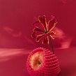 Fruit Still Life. Photograph project by Victoria Jane - 01.29.2022