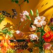 Florals. Photograph project by Victoria Jane - 01.29.2022