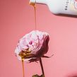 Brightland. Photograph project by Victoria Jane - 01.29.2022