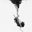 Commerce. Photograph project by Hugh Kretschmer - 02.02.2022