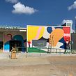 Sweetgreen Houston Mural Ein Projekt aus dem Bereich Traditionelle Illustration von Ohni Lisle - 01.09.2019