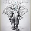 Souls of Nature - pencil drawings series. Traditional illustration project by Jonas Jödicke - 02.09.2022