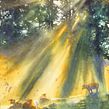 "Catching the Last Sunrays". Pintura em aquarela e Ilustração tradicional projeto de Katarzyna Kmiecik - 11.02.2022
