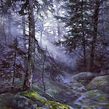 "Misty Forest". Watercolor Painting, and Traditional illustration project by Katarzyna Kmiecik - 08.05.2019