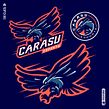 Carasu Esports. Design gráfico, Ilustração tradicional, Br e ing e Identidade projeto de Moi "Angry" Alxes - 20.02.2022