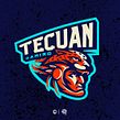 Tecuan Esports. Un proyecto de Diseño gráfico, Ilustración vectorial, Br e ing e Identidad de Moi "Angry" Alxes - 20.02.2022