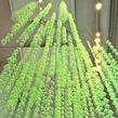 Accumulate. Un projet de Broderie , et Art textile de Amanda McCavour - 22.02.2022