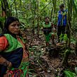 En la selva de las minas malditas. Projekt z dziedziny Film, Kino, film i telewizja, Produkcja audiowizualna i Realizacja audio-wideo użytkownika Gladys Serrano - 24.02.2022