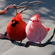 Virtual Fluffy Birds Ein Projekt aus dem Bereich Traditionelle Illustration, 3D und Design von 3-D-Figuren von Marcus Penna - 24.02.2022