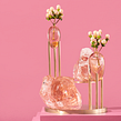 METAMORFOSI. Un progetto di Design di Sara Ricciardi - 02.03.2022
