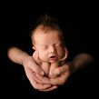 Baby in Parents Hands . Photograph project by Lidi Lima-Conlon - 03.12.2022