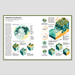 Terra Mater, RedBull Media House. Traditional illustration, Vector Illustration, Graphic Design, Information Design, Infographics, Editorial Design, and Editorial Illustration project by Manuel Bortoletti - 03.12.2022