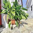 Andalucía Blanca. Painting, Oil Painting, Naturalistic Illustration, and Fine Arts project by Antonio Barahona - 03.16.2022
