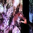 Reefs and Drifters. Interactive Design project by Paul Ferragut - 01.01.2020