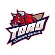 TORO. Projekt z dziedziny Grafika wektorowa, T i pografia użytkownika Agustín Pizarro Maire - 28.02.2018