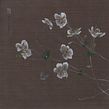 Anemone del Giappone. Un progetto di Illustrazione tradizionale, Belle arti, Pittura, Pittura ad acquerello, Illustrazione botanica, Illustrazione naturalistica e Pittura gouache di Silvia Molinari - 28.03.2022