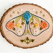 My project for course: Embroidery on Wood: Art Inspired by Nature. Projekt z dziedziny  Haft, Obróbka drewna, Wzornictwo tekst i liów użytkownika Sara Pastrana (Flourishing Fibers) - 29.03.2022