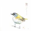 Exhibition in Salamon Fine Art gallery. Fine Arts, Painting, Watercolor Painting, Naturalistic Illustration, Traditional illustration, and Gouache Painting project by Silvia Molinari - 03.29.2022