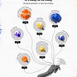 Ideas Report - WePresent 2020. Un progetto di Design, Illustrazione tradizionale e Infografica di Gabrielle Merite - 08.04.2022