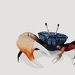 Acuario - Parque Explora. Een project van  Ontwerp y Traditionele illustratie van Santiago Arango - 11.04.2022
