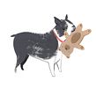 Life Lessons I Learned from my Dog Ein Projekt aus dem Bereich Traditionelle Illustration, Gouachemalerei und Bilderbücher von Emma Block - 12.04.2022