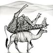 Drawing from a Disappearing World - Edinburgh Exhibition. Traditional illustration project by Amy Dover - 07.28.2019