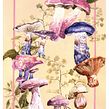 Mycology artworks. Ilustração tradicional, Pintura em aquarela, Pintura, Educação, Artes plásticas, Álbum ilustrado, Design floral e vegetal, Ilustração naturalista e Ilustração botânica projeto de Helena Smyth - 13.04.2022