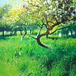 Painting grasses, meadows and flowers . Watercolor Painting project by Richard Thorn - 04.20.2022