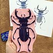 Stagbeetle - carving. Arts, and Crafts project by Viktoria Åström - 04.21.2022