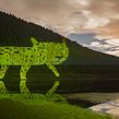 Açores Island Projections. Photograph, Traditional illustration, Drawing, Character Animation, 2D Animation, and Animation project by VJ Suave - 04.26.2022