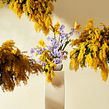 Golden Spring Rain | Floral Design . Design, Set Design, Advertising, and Art Direction project by Valentina Teinitzer (Studio de Pasquale) - 05.13.2022